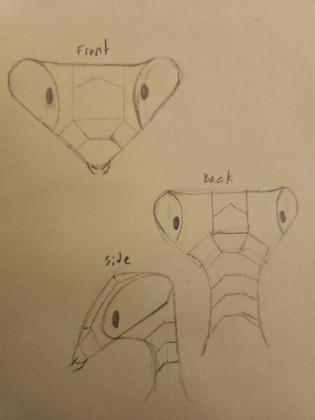 File:Matodea face ref sheet.jpeg