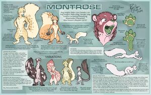 Montrose-sheet2-sm.jpg